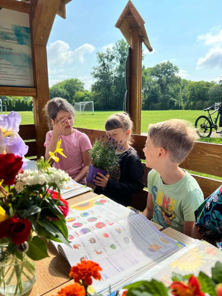 Zdjęcie Na klombach i rabatach